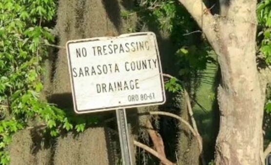 Fucking and Sucking by a creek in Venice Florida